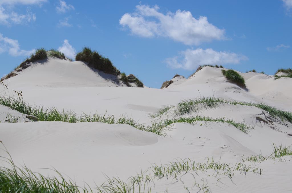 amrum_001.jpg wird geladen