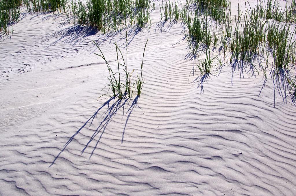 amrum_005.jpg wird geladen