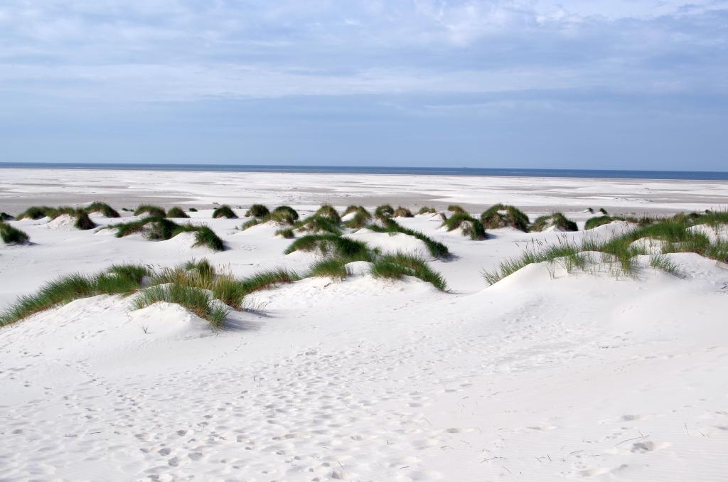 amrum_009.jpg wird geladen