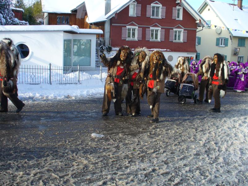 narrensprung_2016-01-17_ratzenried_06.jpg wird geladen